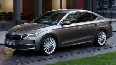 Skoda_Octavia_FL_2024_Markenbaum