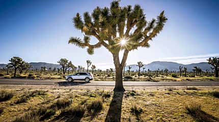 Cadillac XT5 Reise AMS1335 Cadillac XT5 Seite