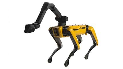 Roboterhund Spot Roboterhund Spot