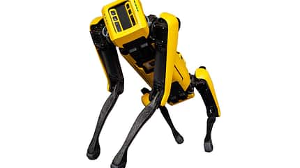 Roboterhund Spot Roboterhund Spot