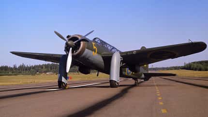 B17 B17