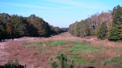 Bridgehampton Circuit Bridgehampton Circuit