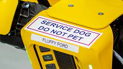 Fluffy Roborterhund Ford Boston Dynamics Fluffy Roborterhund Ford Boston Dynamics