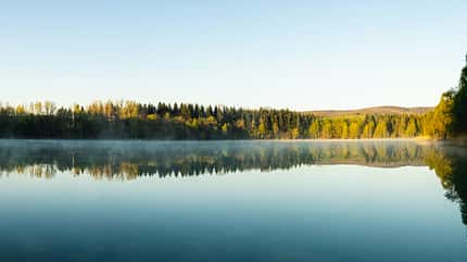 Tesla, Wasservertrag, 2020 Tesla darf Wasser in Brandenburg nutzen