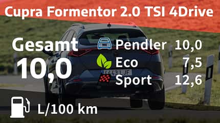 Cupra Formentor 2.0 TSI 4Drive Realverbrauch Cupra Formentor 2.0 TSI 4Drive Realverbrauch