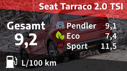 Kosten und Realverbrauch Seat Tarraco 2.0 TSI 4Drive FR 04/2021, Kosten und Realverbrauch Seat Tarraco 2.0 TSI 4Drive FR