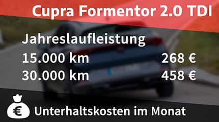 Cupra Formentor 2.0 TDI, Kosten- und Realverbrauch, ams0122 Cupra Formentor 2.0 TDI, Kosten- und Realverbrauch