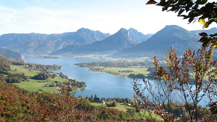 Linz Tourismus, Bird, Fir, Mountain, Mountain Range, Nature, Outdoors, Plant, Scenery, Tree Wolfgangsee Österreich Salzkammergut See Berge wandern