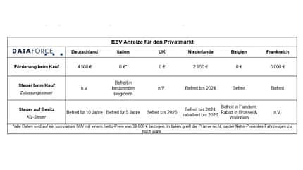 Dataforce Aufstellung Fördergelder Elektroautos Dataforce Aufstellung Fördergelder Elektroautos