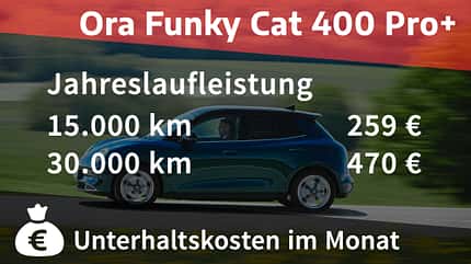 Ora Funky Cat Ora Funky Cat 400 Pro+