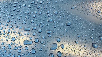 Sonax Pflegeprodukte, verdreckte Scheiben im Sommer Sonax Sicherheitskampagne