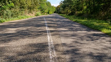 Hockenheimring, alte Strecke, Hockenheim, Hardtwald Die alte weiße Streckenmarkierung der ehemaligen Ostkurve am Hockenheimring.