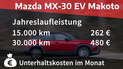 Mazda CX-30 E-Syactive EV Mazda MX-30 EV Makoto