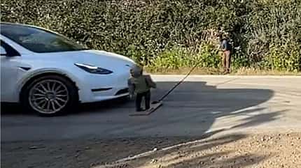 Waarschuwing van The Dawn Project over Tesla-robotaxi's
