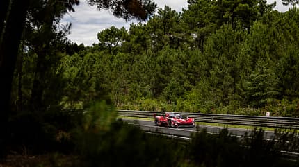 Le Mans 2026 - Toyota Le Mans 2026 - Toyota