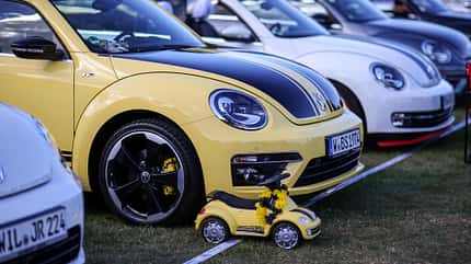 Beetle Sunshinetour Beetle Sunshinetour