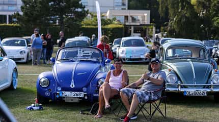 Beetle Sunshinetour Beetle Sunshinetour
