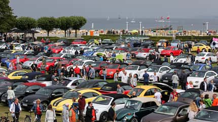 Beetle Sunshinetour Beetle Sunshinetour