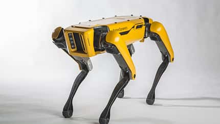 11/2017, Boston Dynamics SpotMini