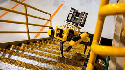 Fluffy Roborterhund Ford Boston Dynamics