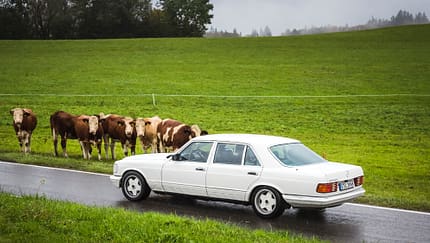 Lohnt sich die Restaurierung eines Oldtimers?