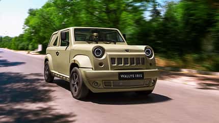 Wallyscar Iris