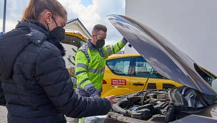 ADAC Pannenstatistik 2020, Panne