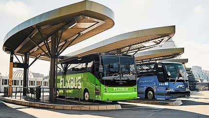 Flixbus Greyhound