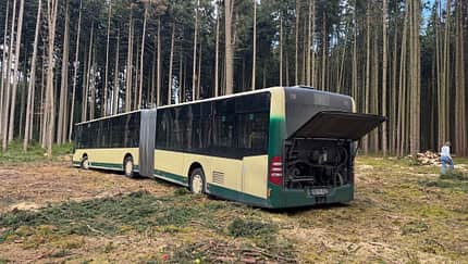 08/2025, Omnibus, Gelenkbus im Wald Omnibus, Gelenkbus im Wald