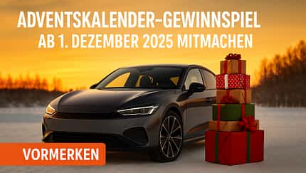 Adventskalender Themenseite 2