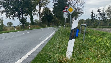 Leitpfosten blauer Reflektor