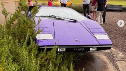 Lamborghini Countach im Busch