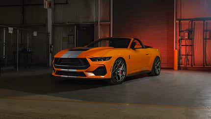 Shelby GT350 Cabrio und Fastback Shelby GT350 Cabrio und Fastback