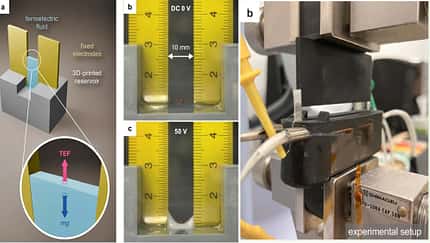  Institut für Naturwissenschaften Tokio
