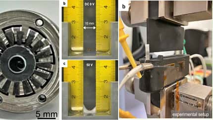  Institut für Naturwissenschaften Tokio