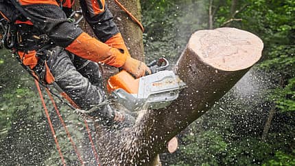 TechnikProfi_2026_06_03_1