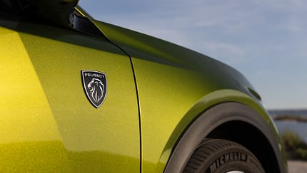 Peugeot 408, FB Peugeot 408, Logo