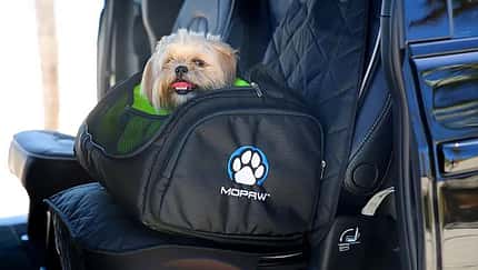 Mopar Mopaw Hundezubehörlinie