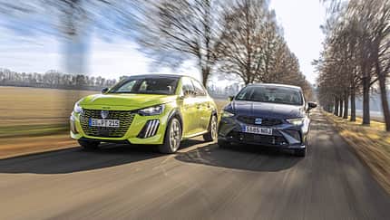 Zwei Kleinwagen, ein Peugeot 208 Hybrid und ein Seat Ibiza 1.5 eTSi, fahren nebeneinander auf einer Allee.