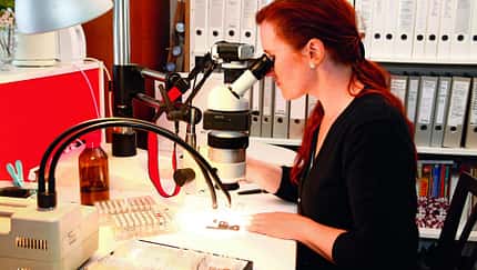 Restauratorin Gundula Tutt