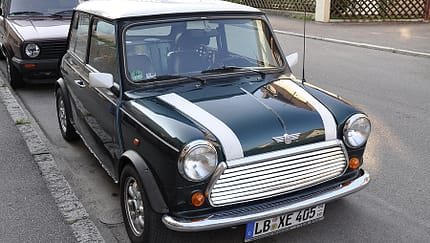 Mini vor der Schmückung