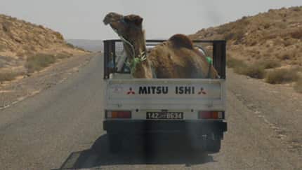 Die Rallye Erg Orientel heißt nun wieder El Chott.