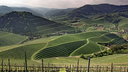 Landschaft, Schau ins Land, Weinberge