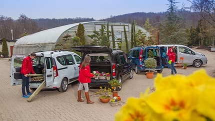 Dacia Dokker, Nissan Evalia, Peugeot Partner, Renault Kangoo