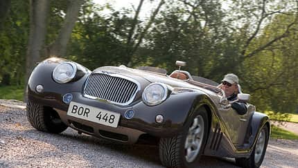 Leopard Roadster