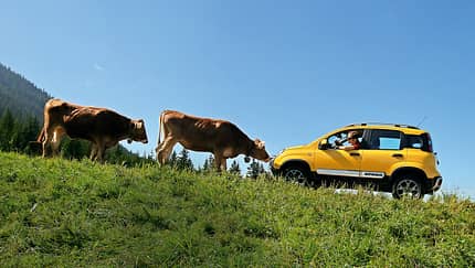 Fiat Panda Cross, Almabtrieb, Impression
