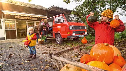 VW T3 1.6 TD, Frontansicht