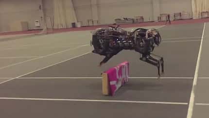 MIT Cheetah 2, Roboter, Gepard, Robotik