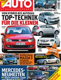asv 01/2010