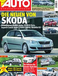 asv 01/2010